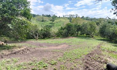 Venta Lotes En Parcelacion - Vereda El Hato - La Mesa