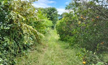 Venta Lotes En Parcelacion - Vereda El Hato - La Mesa