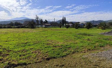 Parcela en venta  en MARÍA PINTO
