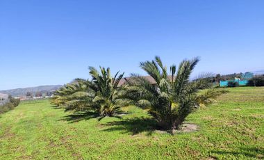 Parcela en venta  en MARÍA PINTO
