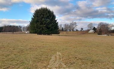 Parcela en Venta en COD38992 Camino a Cunco