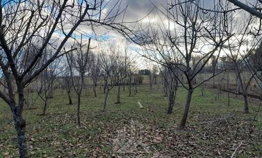 Parcela en Venta en COD38992 Camino a Cunco