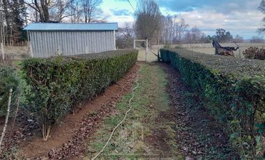 Parcela en Venta en COD38992 Camino a Cunco