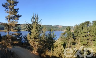 Casa en Venta en Camino los Niches Km 3,95