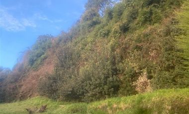 Casa en Venta en ruta 215, pasado Entrelagos