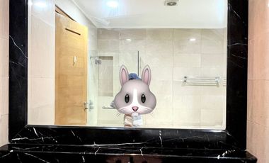 Disewakan apartement Senayan Residence 3 br