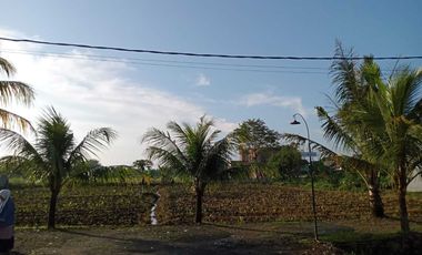 Kavling Matang Siap Bangun Dramaga, SHM, Potensial Kost Mahasiswa