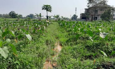 Kavling Matang Siap Bangun Dramaga, SHM, Potensial Kost Mahasiswa