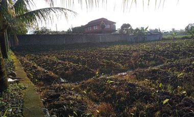 Kavling Matang Siap Bangun Dramaga, SHM, Potensial Kost Mahasiswa