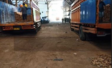 Unit Langka! Tanah Usaha Raya Puspitek – Dekat BSD, Spot Strategis untuk Usaha!