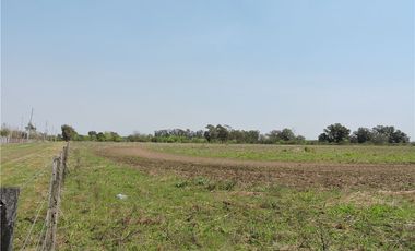 VENTA 7,6 HECTAREAS RUTA 25  PILAR