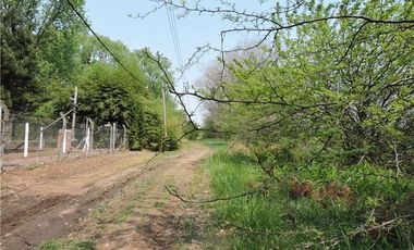 VENTA 7,6 HECTAREAS RUTA 25  PILAR
