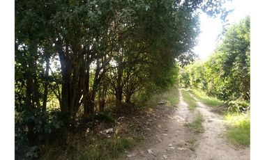 VENTA 7,6 HECTAREAS RUTA 25  PILAR