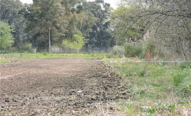 VENTA 7,6 HECTAREAS RUTA 25  PILAR