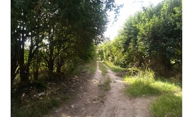 VENTA 7,6 HECTAREAS RUTA 25  PILAR