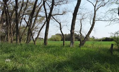 VENTA 7,6 HECTAREAS RUTA 25  PILAR