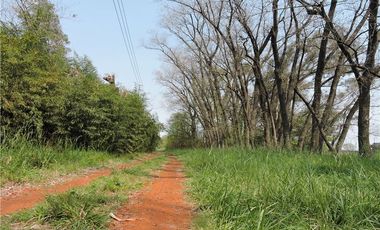 VENTA 7,6 HECTAREAS RUTA 25  PILAR