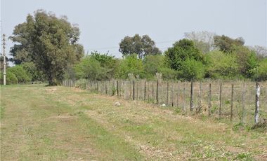 VENTA 7,6 HECTAREAS RUTA 25  PILAR