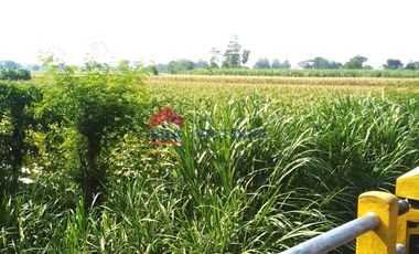 DIJUAL Tanah di Jalan Utama Pagu Kab Kediri 10 Menit Ke Pemkab Kediri