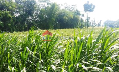 Jual Tanah Pinggir Jl Utama Pagu Kediri 10 Menit Kantor Pemkab