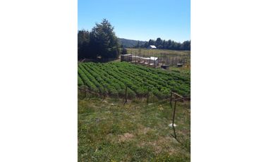 CONSTRUYE TU HOGAR EN EL PARAÍSO - PARCELA EN VENTA EN DALCAHUE, CHILOÉ