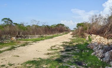 Terreno campestre en venta Naturae, Tixkuncheil, Yucatán