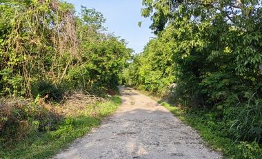 Terreno campestre en venta Naturae, Tixkuncheil, Yucatán