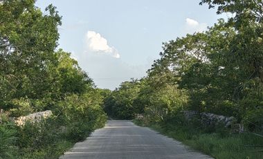 Terreno campestre en venta Naturae, Tixkuncheil, Yucatán
