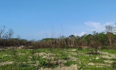 Terreno campestre en venta Naturae, Tixkuncheil, Yucatán