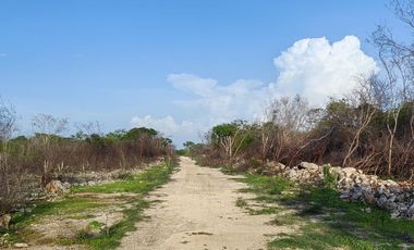 Terreno campestre en venta Naturae, Tixkuncheil, Yucatán