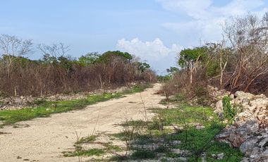 Terreno campestre en venta Naturae, Tixkuncheil, Yucatán