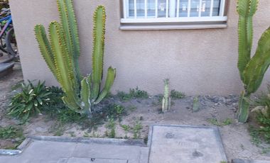 ARRIENDO DPTO 2 DORMITORIOS Y 1 BAÑO AMOBLADO