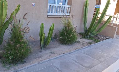 ARRIENDO DPTO 2 DORMITORIOS Y 1 BAÑO AMOBLADO
