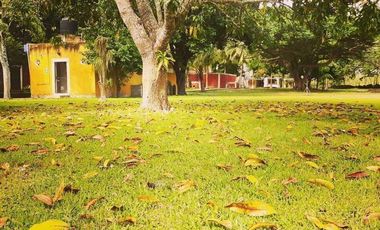 EN VENTA HERMOSA HACIENDA KANYUYUN| CARRETERA TIXKOKOB