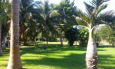 EN VENTA HERMOSA HACIENDA KANYUYUN| CARRETERA TIXKOKOB