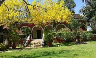 EN VENTA HERMOSA HACIENDA KANYUYUN| CARRETERA TIXKOKOB