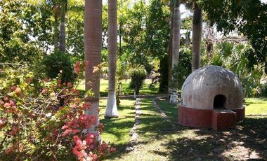 EN VENTA HERMOSA HACIENDA KANYUYUN| CARRETERA TIXKOKOB