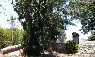 EN VENTA HERMOSA HACIENDA KANYUYUN| CARRETERA TIXKOKOB