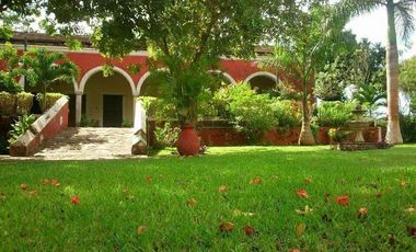 EN VENTA HERMOSA HACIENDA KANYUYUN| CARRETERA TIXKOKOB