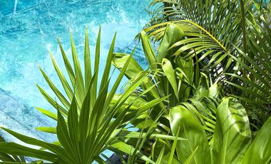 CASA EN VENTA EN TULUM 3 HABITACIONES CON ALBERCA INFINITY, ZONA DE REUNIONES JUEGOS PARA NIÑOS