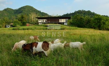 dream eco house for sale in saraburi