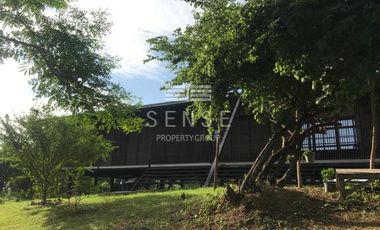 dream eco house for sale in saraburi