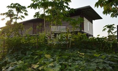 dream eco house for sale in saraburi