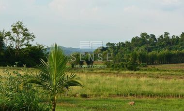 dream eco house for sale in saraburi