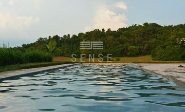 dream eco house for sale in saraburi
