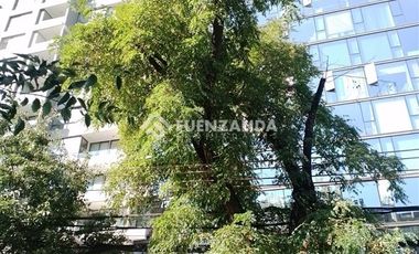 Oficina en Arriendo en Metro Pedro de Valdivia