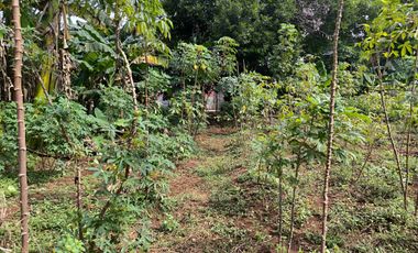 Di sewakan tanah kosong di bantar gebang narogong Kota t
