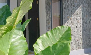 Rumah Murah Sukodono Gedangan Sidoarjo Banyak Promo Free Biaya Bs KPR