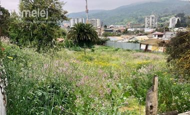 Terreno en venta, Los Carrera, Quilpué