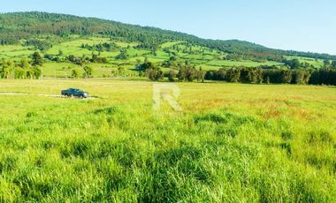 OPORTUNIDAD. PARCELAS PIEDRA LINDA LOS RISCOS, CNO ENSENADA